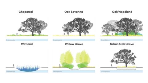 8ParkHabitat-CMG_3840x2160